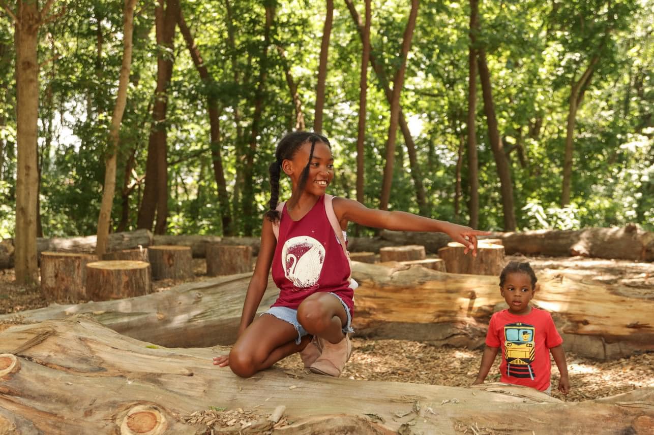 Two Black children playing together on a fallen log in a sunlit forest