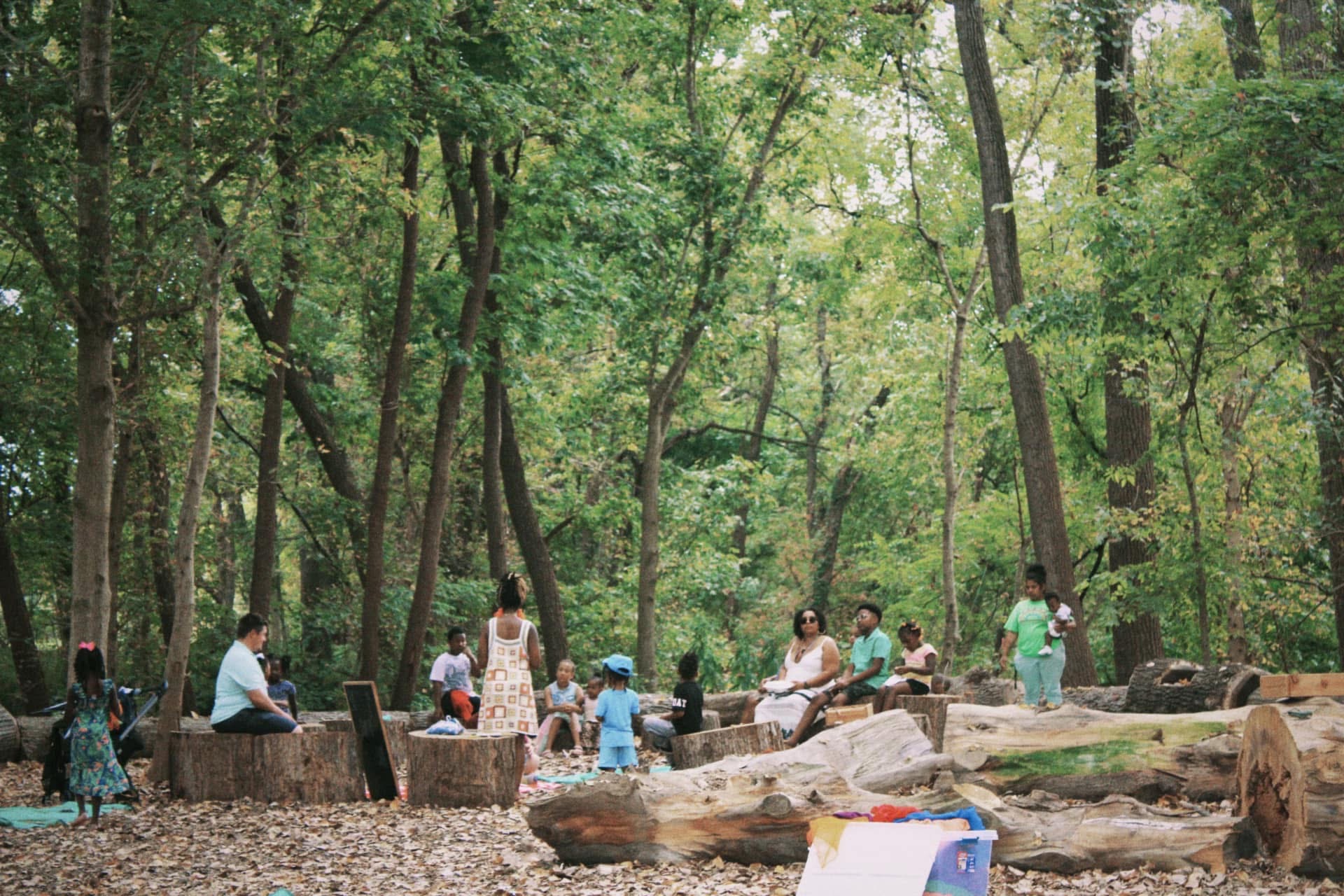 Families gathered on tree stumps in a wooded clearing