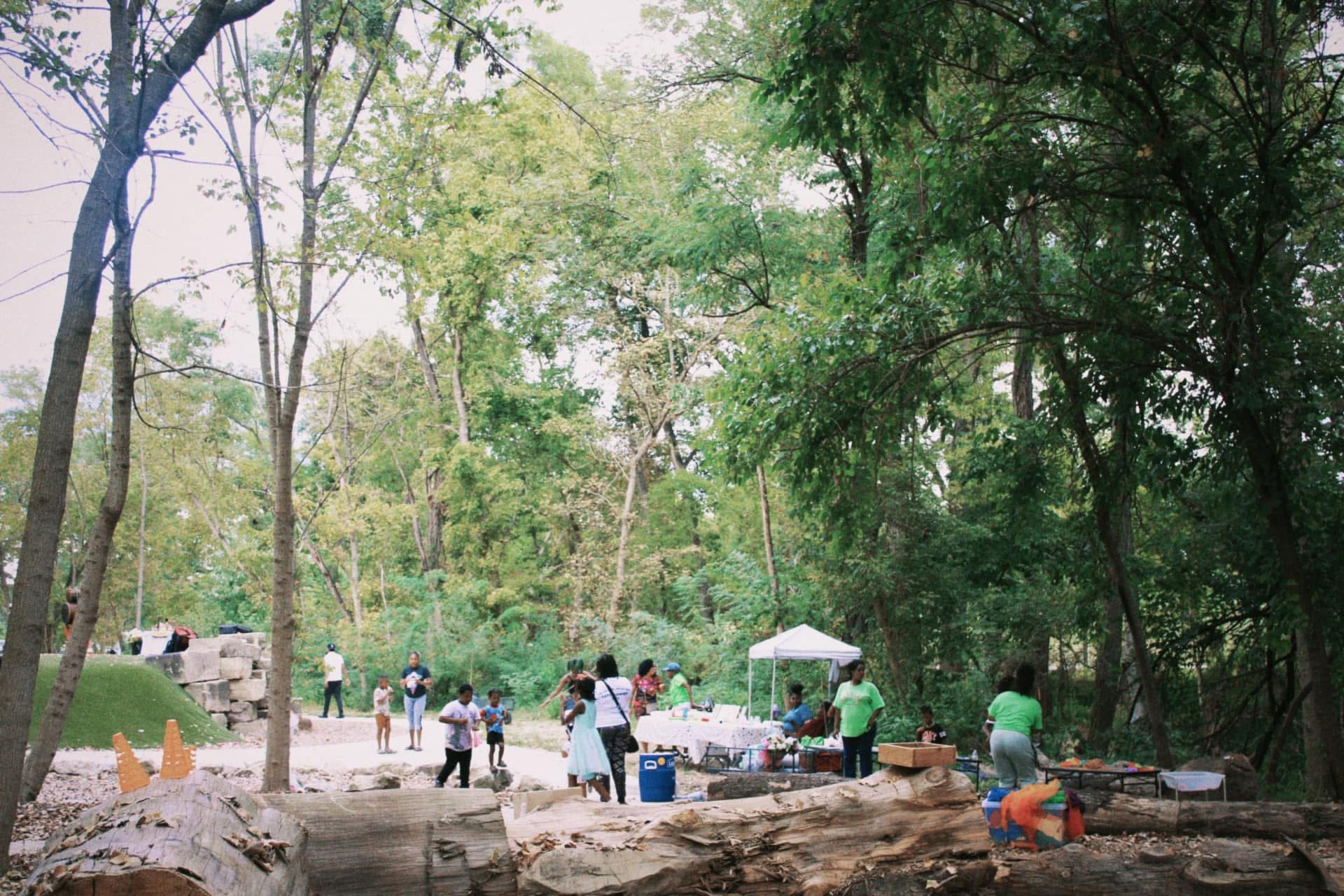 A community market day unfolding along a wooded path