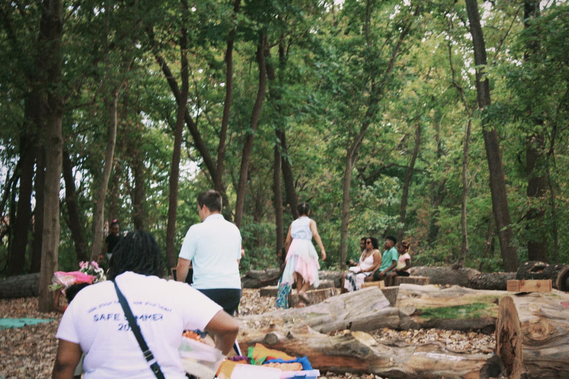 Families walking into a forest clearing lined with carved log benches